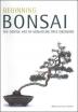 Beginning Bonsai